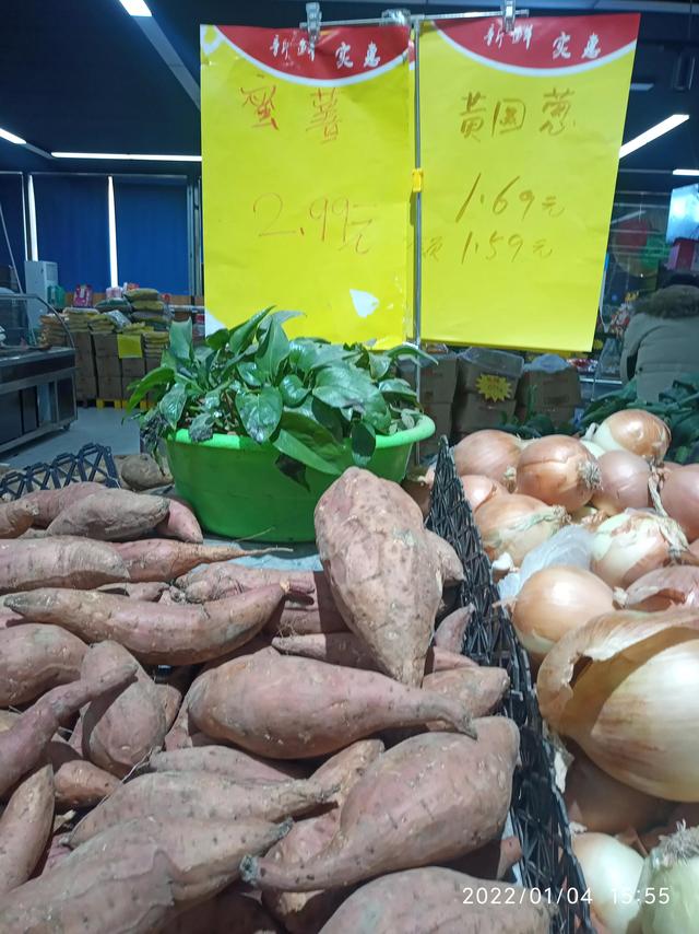 最新地瓜價(jià)格解析，查詢指南與任務(wù)攻略