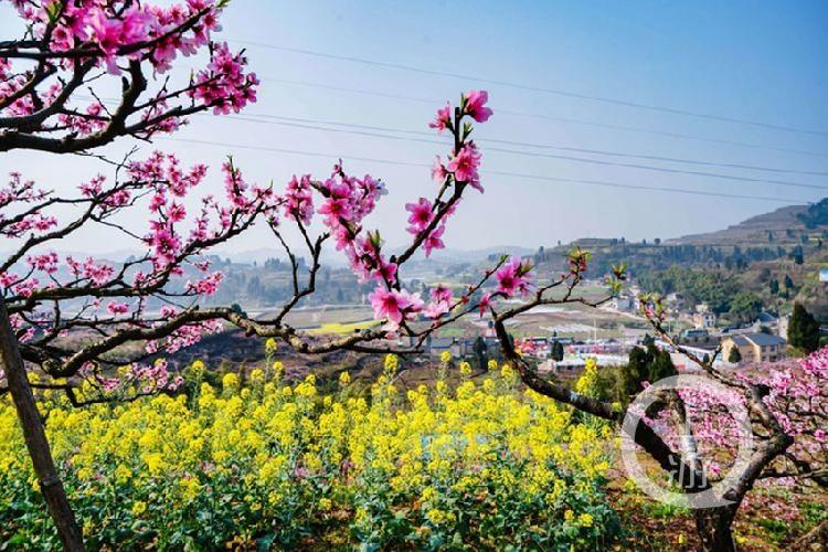 合川最新科技新聞，高科技產(chǎn)品引領(lǐng)未來生活潮流