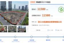 桐鄉(xiāng)最新土地拍賣熱點(diǎn)分析與展望