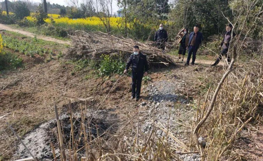 溧陽最新天氣，氣象變遷與地域影響探究
