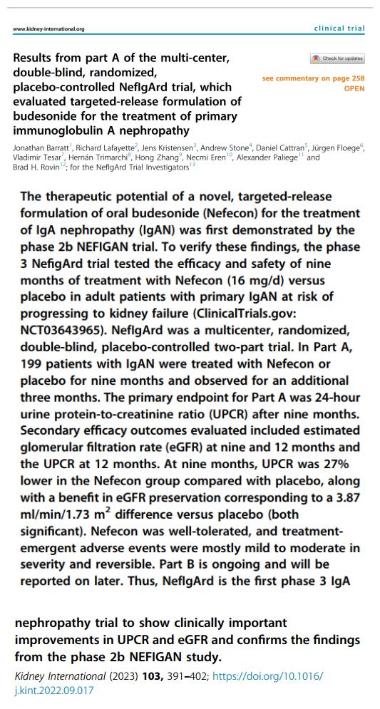 IGA腎病最新突破，醫(yī)學(xué)奇跡在小店中綻放的獨(dú)特魅力