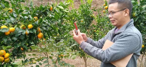 活力四溢的湘西門戶——沅陵最新紅網動態(tài)