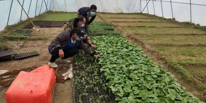 策勒最新招聘啟航人才新篇章，學(xué)習(xí)變化，擁抱自信與成就，啟程人生新征程！