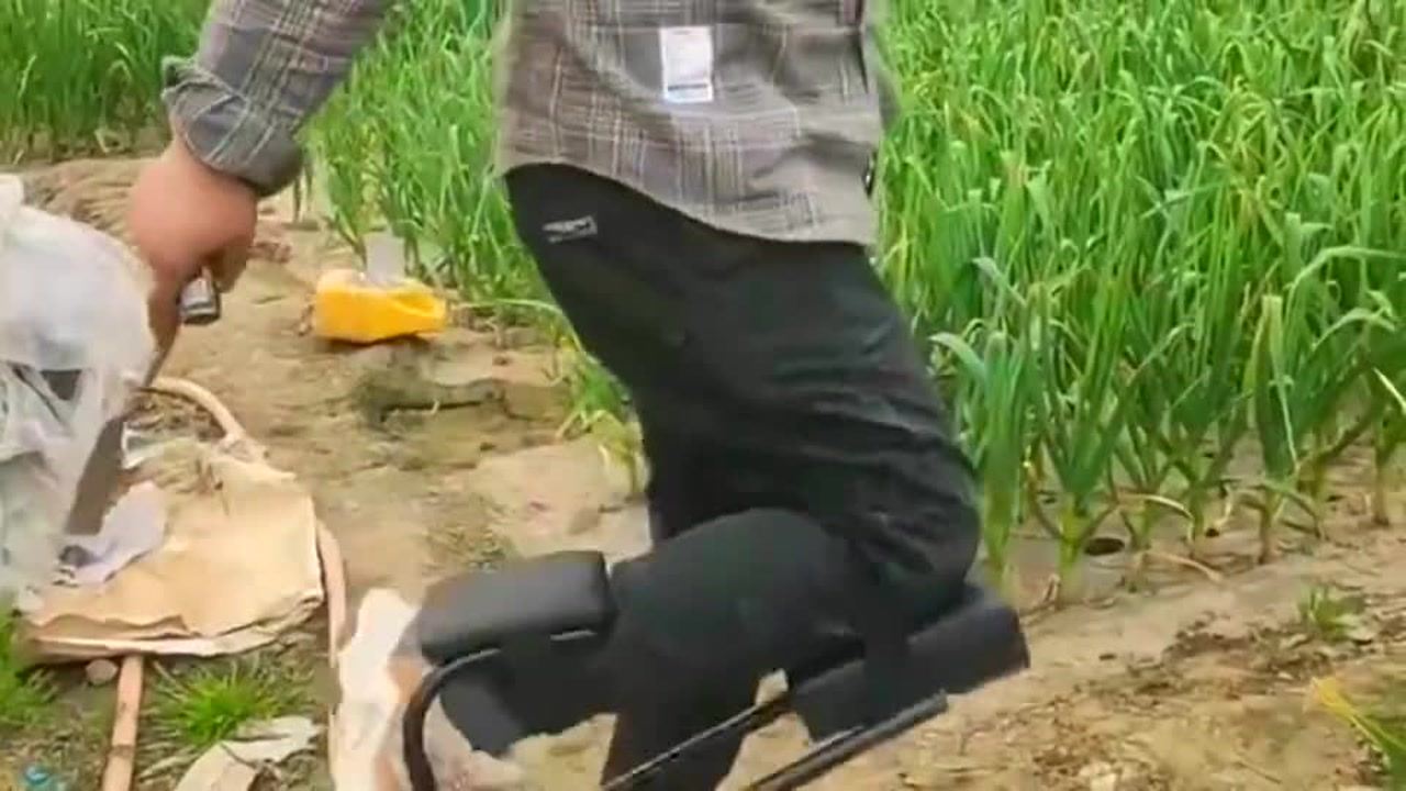 最新挖蒜工具，心靈與自然的完美交融