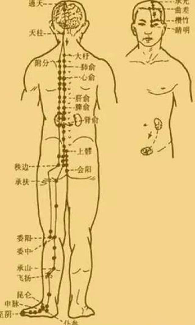 最新經(jīng)絡操，探索古老奧秘，重塑健康身姿