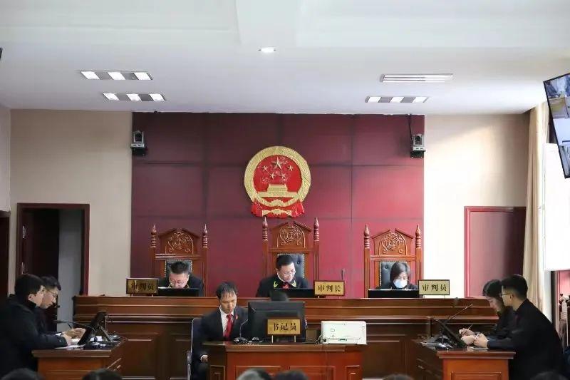 偏關最新案件深度解析，揭示真相，關注社會公正與公平