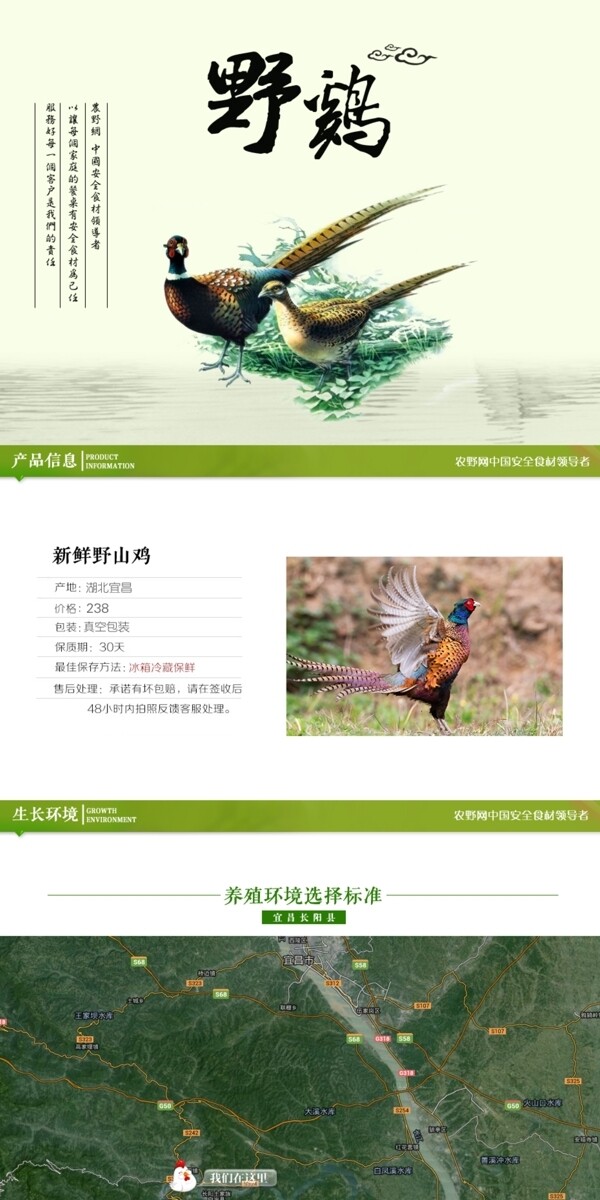 深度剖析，最新山雞的背景、事件與地位概述