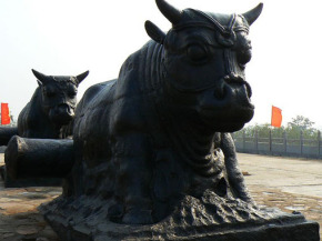 鐵牛視頻最新精彩呈現(xiàn)，領(lǐng)略與眾不同的世界！