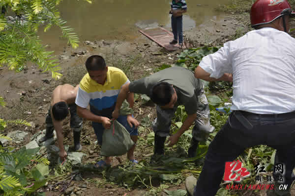 南縣防汛最新動(dòng)態(tài)更新