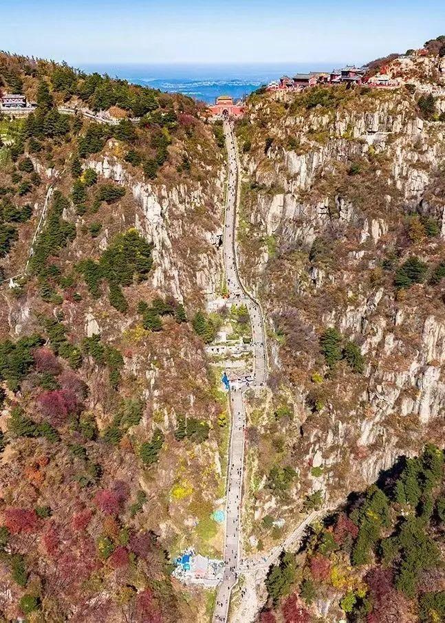 泰山最新聞，觀點(diǎn)與立場的深度探討