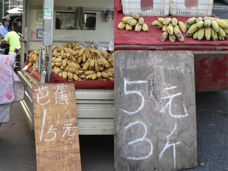 芭蕉最新價(jià)格，開(kāi)啟心靈平靜的綠色之旅