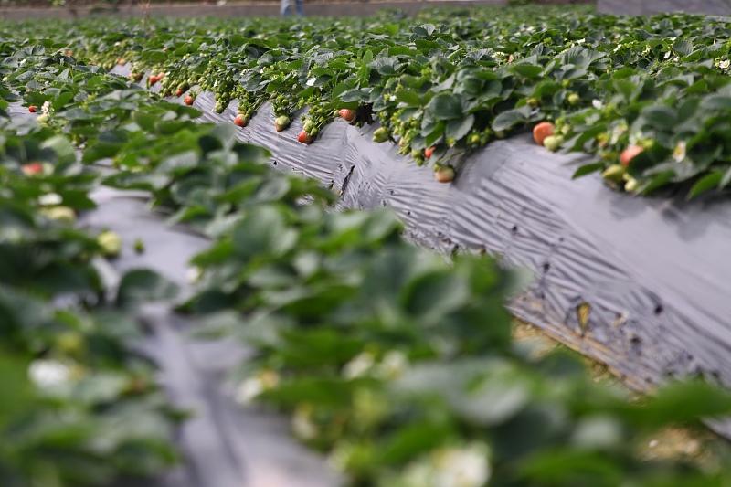 湖北最新封鎖，科技智能重塑防線，守護生活安全