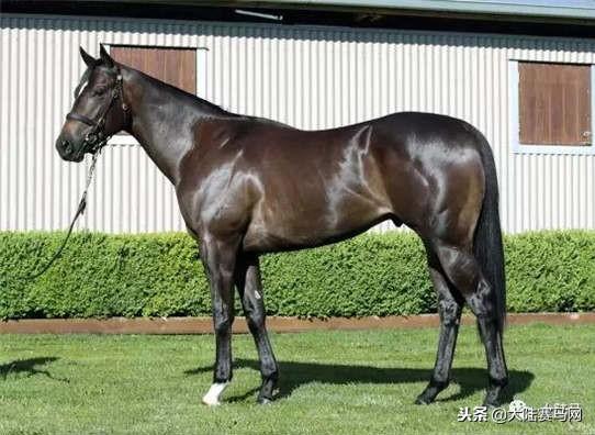 卡拉卡最新指南，任務(wù)完成與技能學(xué)習(xí)步驟攻略