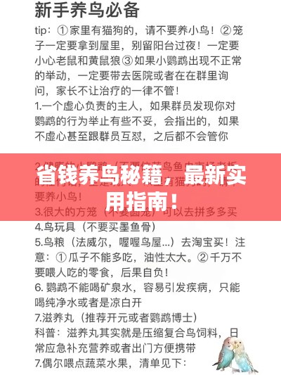 最新養(yǎng)鳥法規(guī)解析，觀點闡述與深度探討