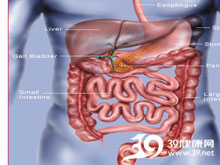 高科技產(chǎn)品重塑生活，體驗(yàn)前沿魅力，探索腸鳴最新技術(shù)