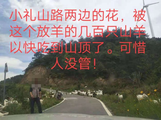 大悟最新路，探索未知，自信成就夢(mèng)想之旅的啟程
