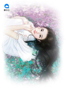 最新豪婿，小巷深處的獨(dú)特風(fēng)情