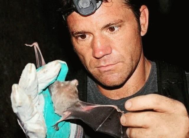 蝙蝠最新電影，自信與成長(zhǎng)的翅膀，勵(lì)志翱翔天空之旅