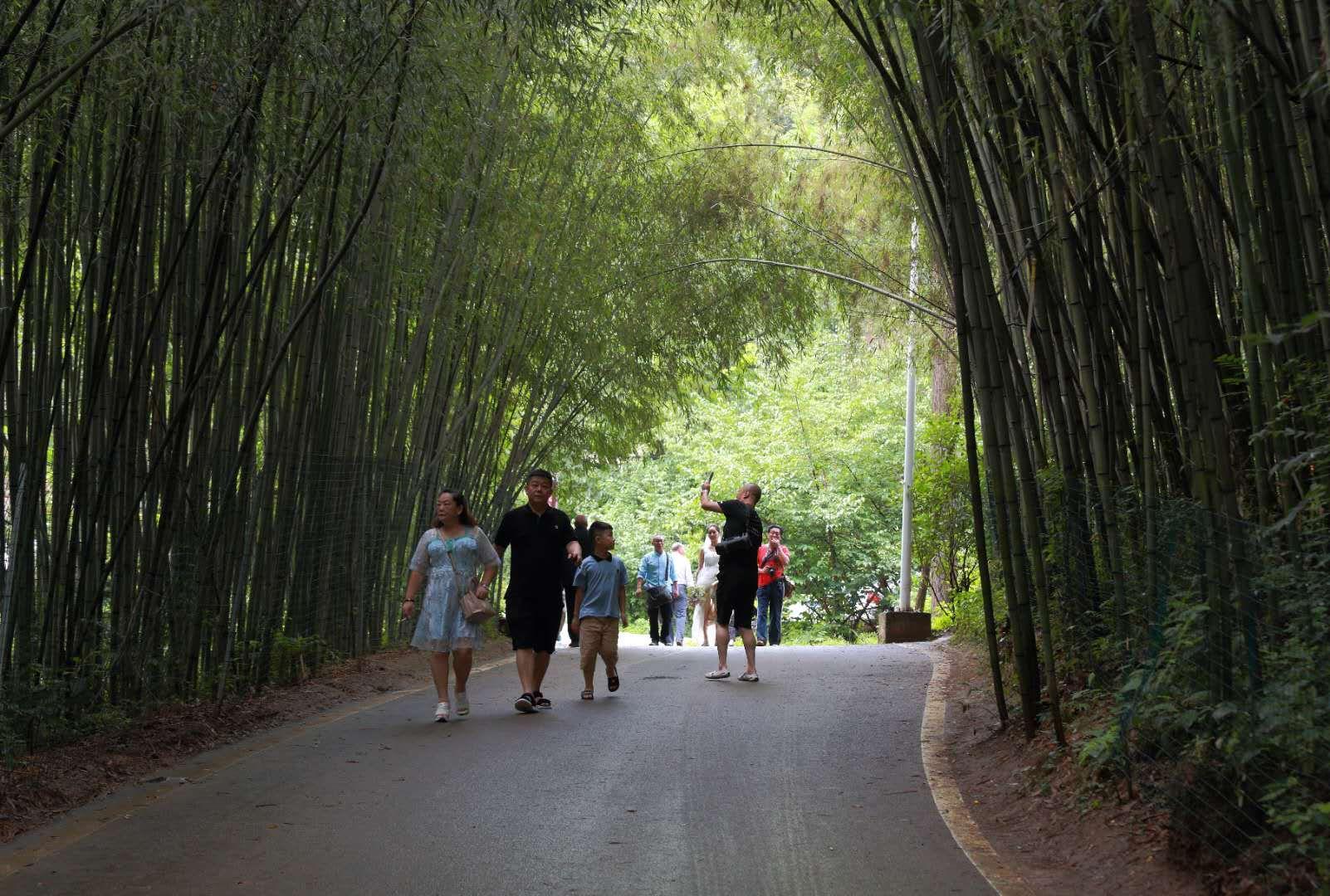 全家最新優(yōu)惠攻略，一步步教你享受最大優(yōu)惠折扣！