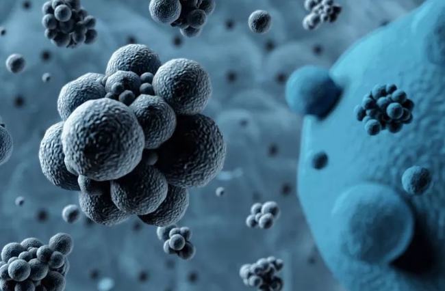 病毒擴(kuò)散最新情況，自然探險之旅尋求內(nèi)心平和之地