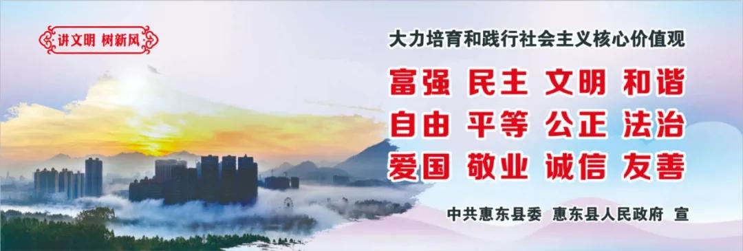 惠州肺炎最新動態(tài)，小巷深處的獨(dú)特小店背后的故事