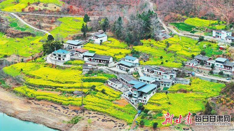 揭秘文縣，歷史背景、重大事件與時代地位全景展示