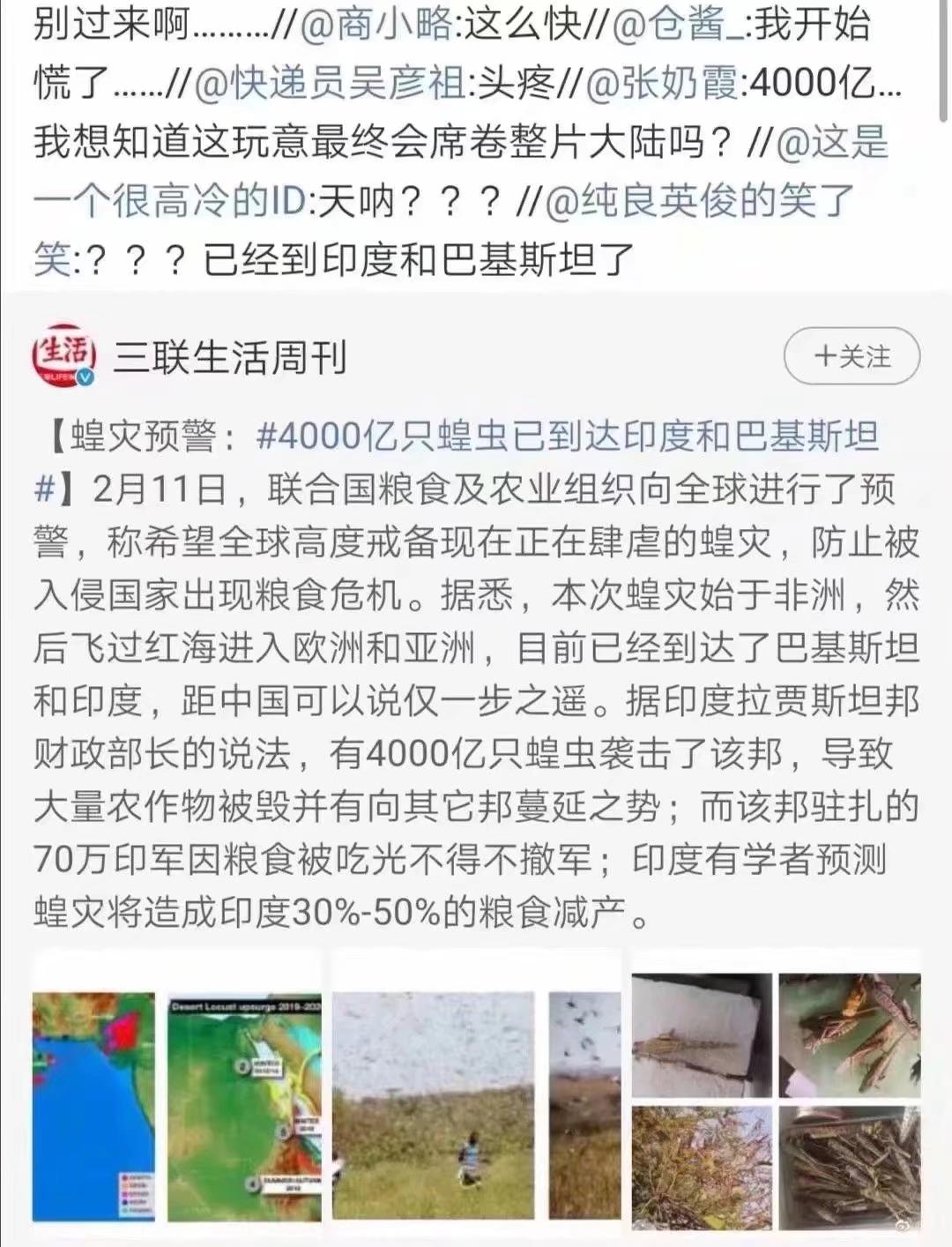 蝗蟲最新動態(tài)，防治與監(jiān)測的全面指南