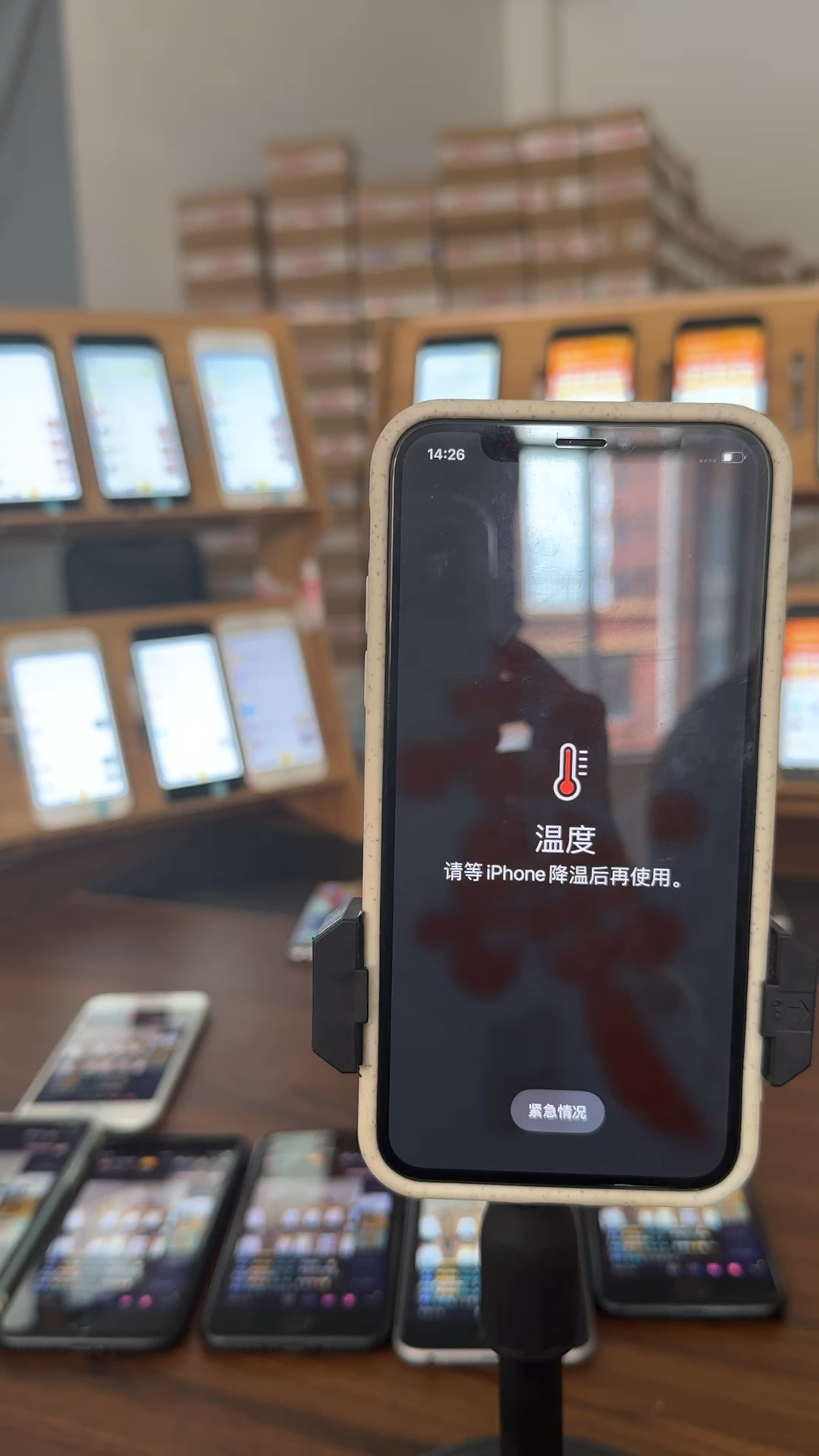 蘋(píng)果最新直播，科技與文化的完美融合盛宴