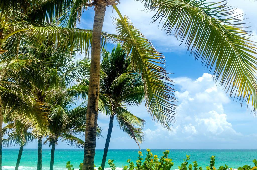 科技重塑旅行體驗(yàn)，最新付費(fèi)機(jī)場(chǎng)概覽