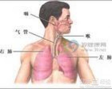 咸豐肺炎最新全面指南與詳解，癥狀、治療、步驟解析