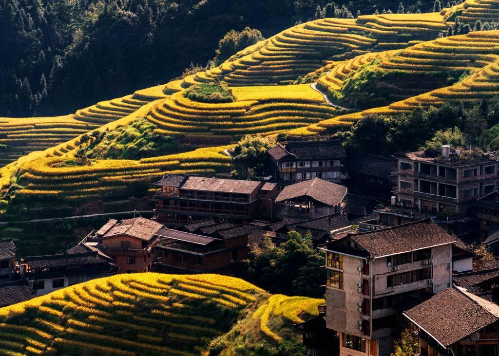 金秋天最新時尚潮流，獨特風(fēng)情展現(xiàn)魅力風(fēng)采