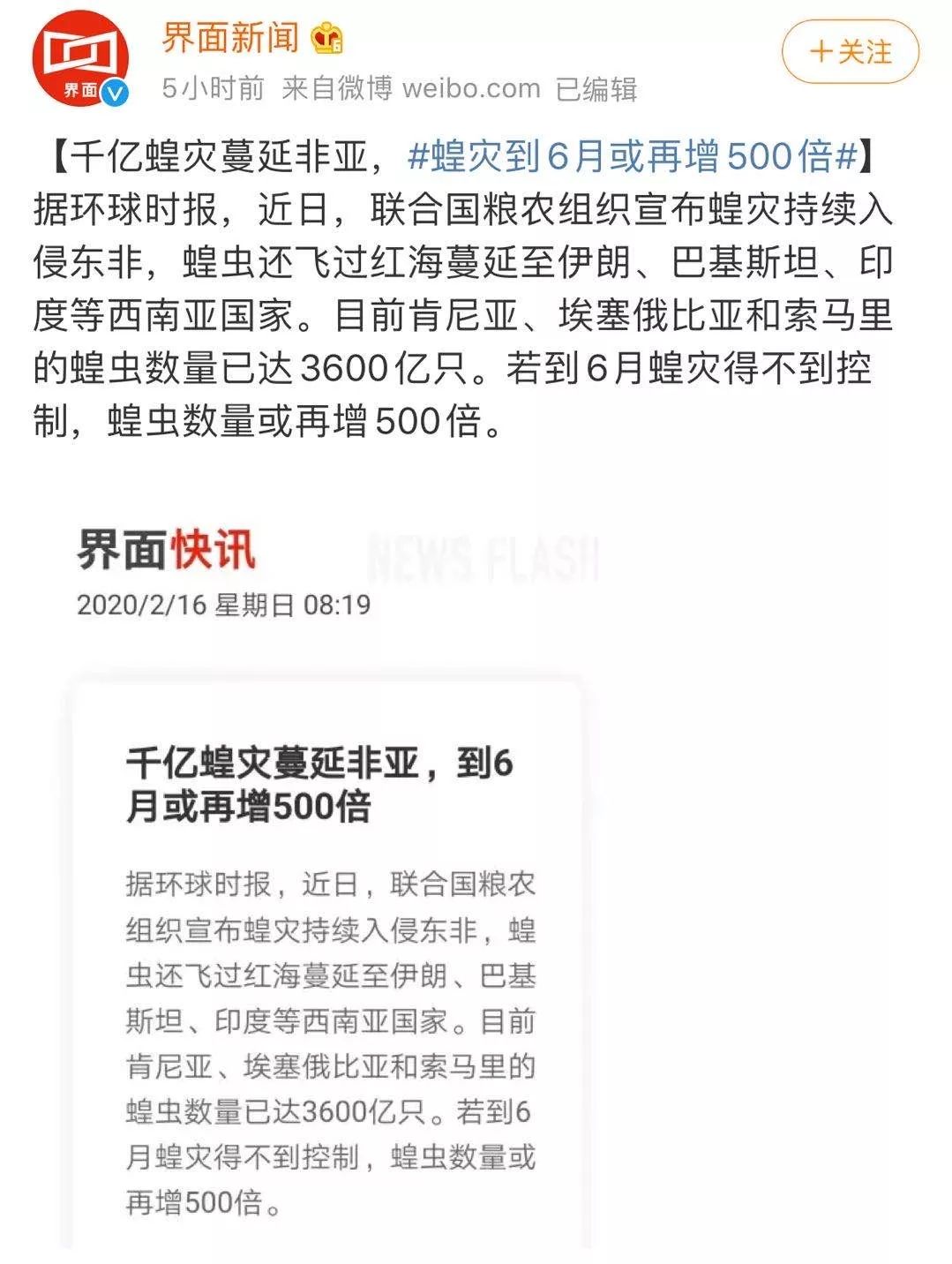 世界蝗災(zāi)最新動(dòng)態(tài)，探索自然美景的輕松之旅