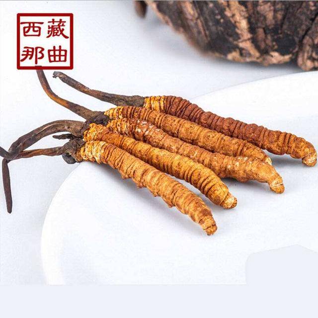 揭秘2025年蟲草最新價格，探尋小巷中的秘密行情！