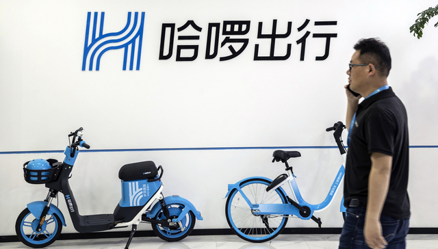 哈啰最新動態(tài)，擁抱自然美景的治愈之旅