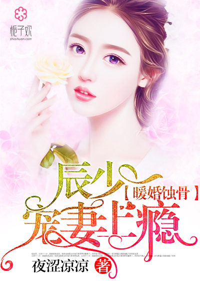 陸少寵上癮最新動態(tài)，日常趣事與真摯友情的獨特魅力